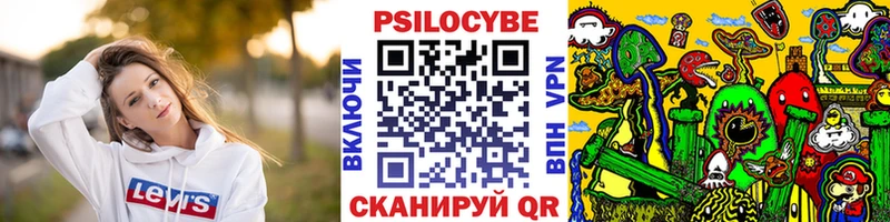Галлюциногенные грибы GOLDEN TEACHER  Купить  Вичуга 